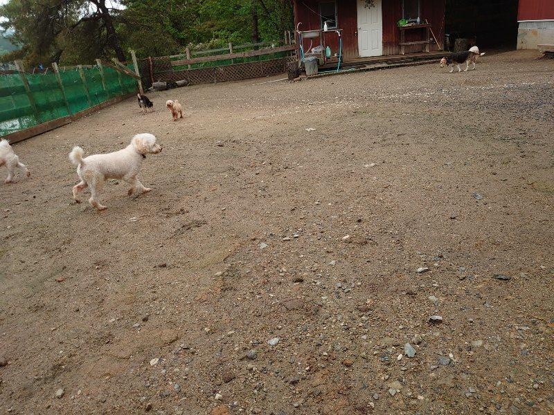 f：id：roukenhome-ann：20200518203928j：plain