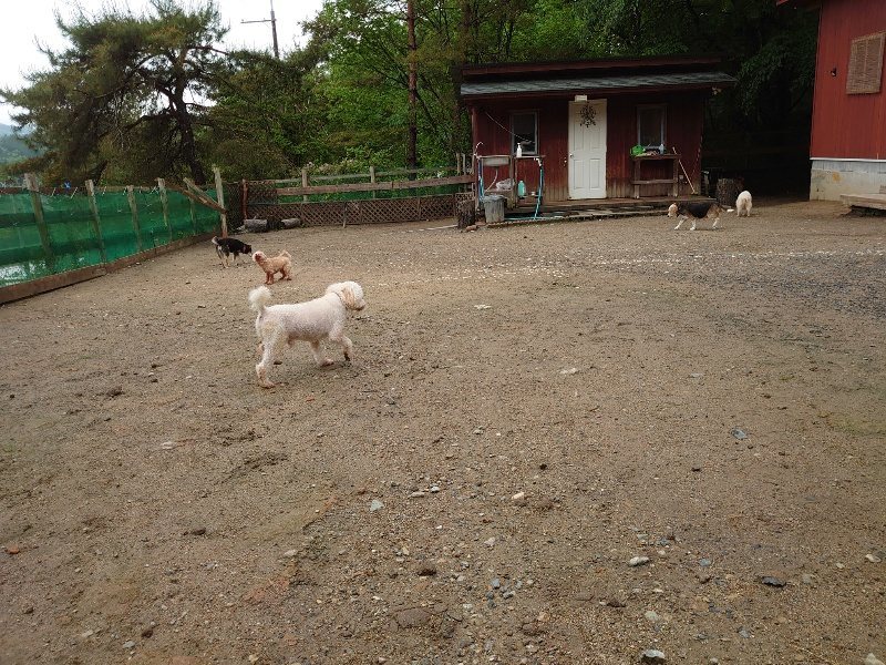 f：id：roukenhome-ann：20200518203945j：plain