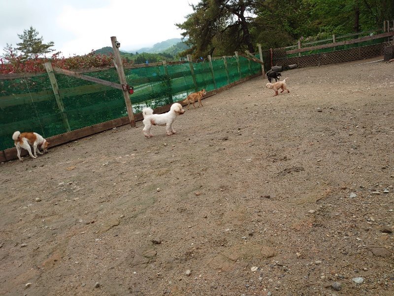 f：id：roukenhome-ann：20200518204009j：plain