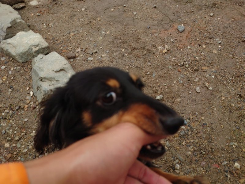 f：id：roukenhome-ann：20200518204031j：plain
