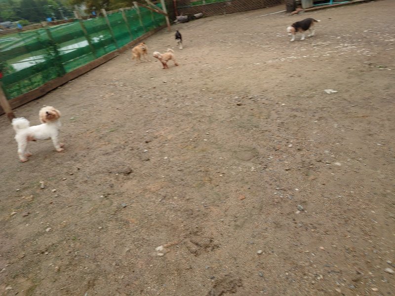 f：id：roukenhome-ann：20200518204043j：plain