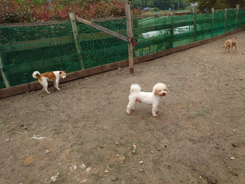 f：id：roukenhome-ann：20200518204057j：plain