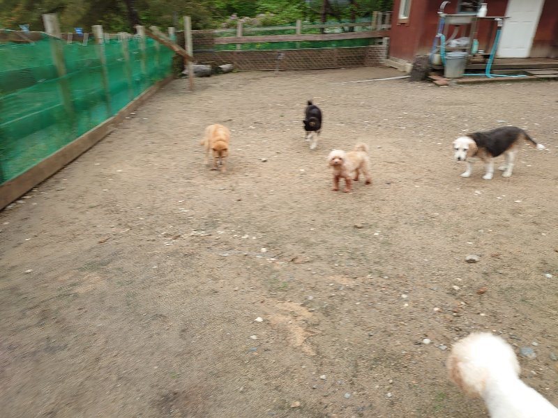 f：id：roukenhome-ann：20200518204202j：plain