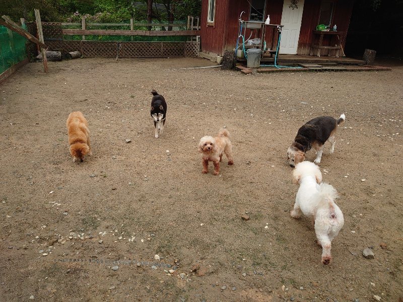 f：id：roukenhome-ann：20200518204226j：plain