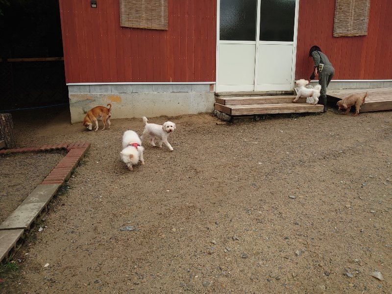 f：id：roukenhome-ann：20200518205252j：plain