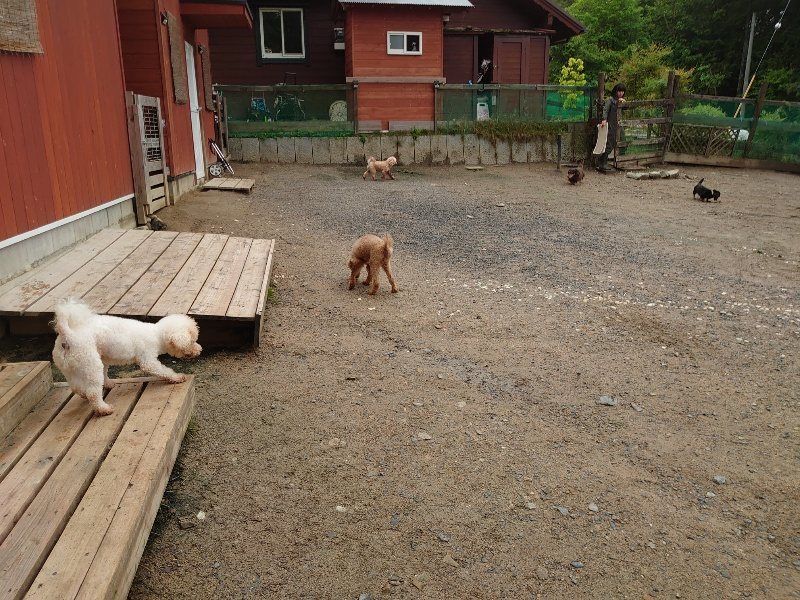 f：id：roukenhome-ann：20200518205554j：plain