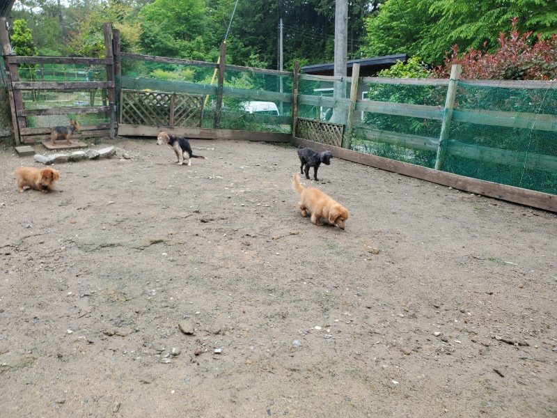 f：id：roukenhome-ann：20200518205606j：plain
