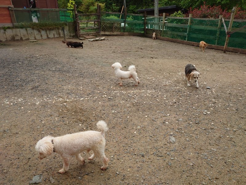 f：id：roukenhome-ann：20200518205844j：plain