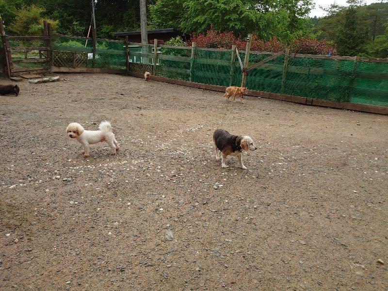 f：id：roukenhome-ann：20200518205911j：plain