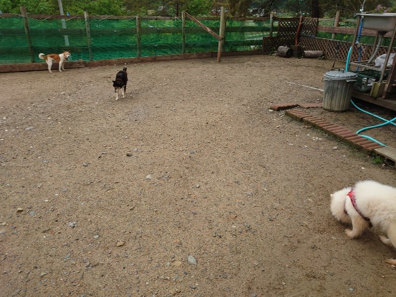f：id：roukenhome-ann：20200518205917j：plain