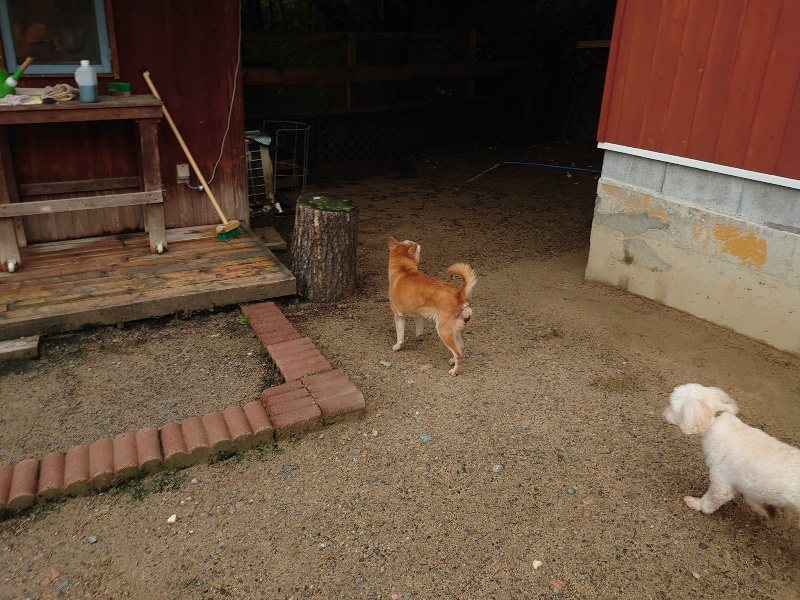 f：id：roukenhome-ann：20200518205942j：plain