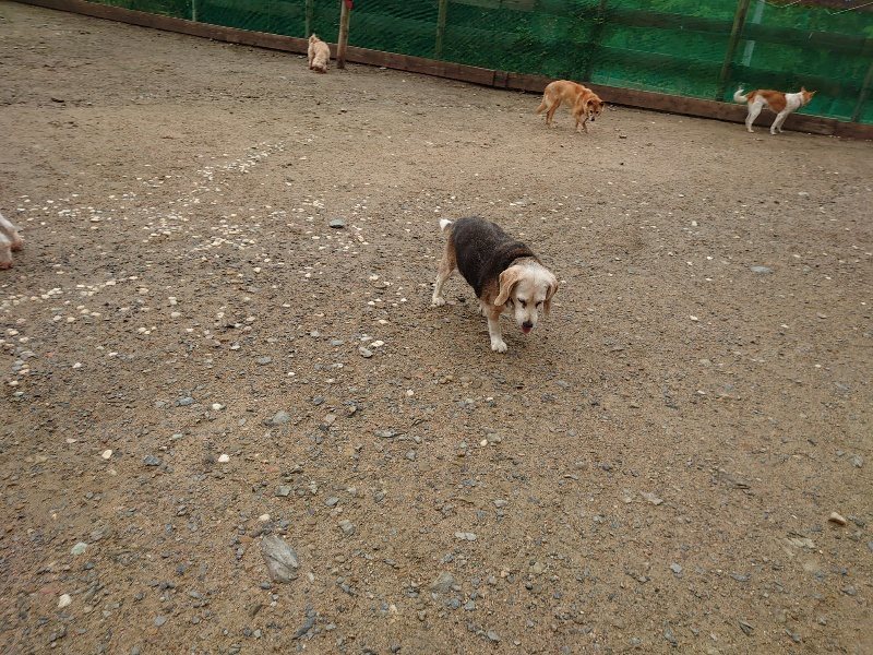 f：id：roukenhome-ann：20200518210003j：plain