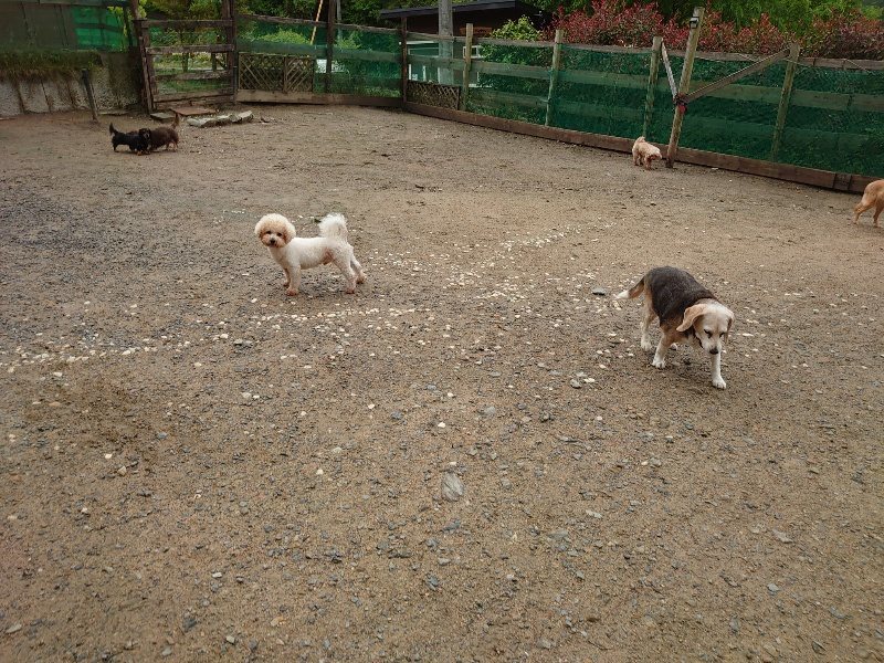 f：id：roukenhome-ann：20200518210009j：plain