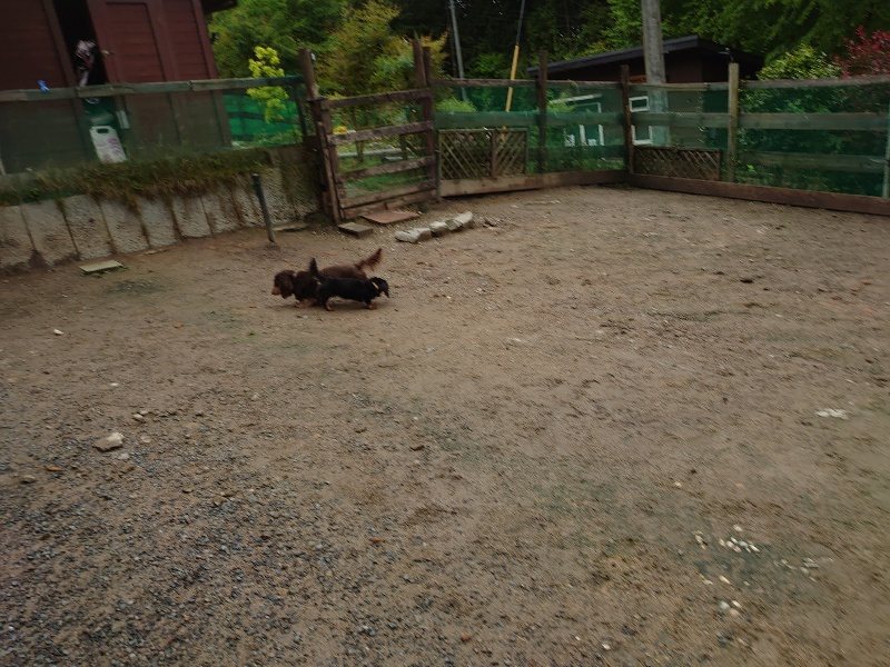 f：id：roukenhome-ann：20200518210039j：plain