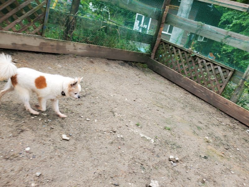 f：id：roukenhome-ann：20200518210053j：plain