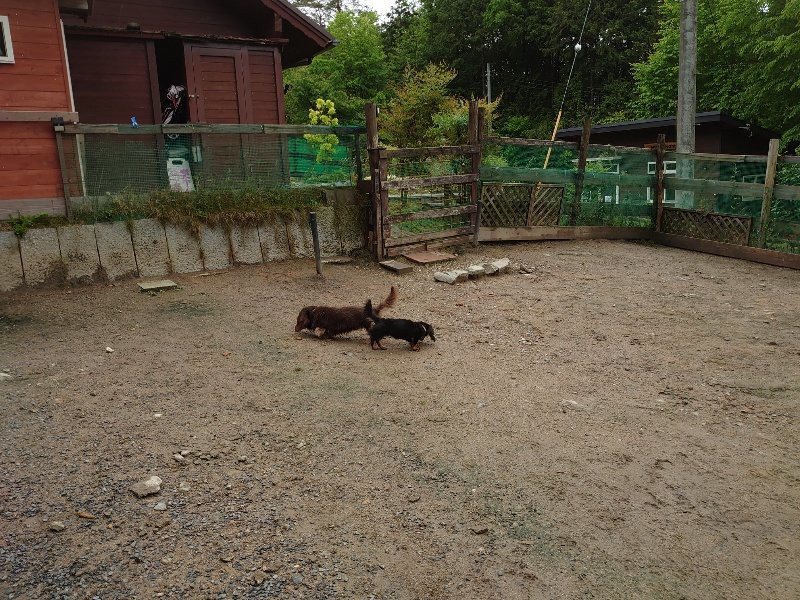 f：id：roukenhome-ann：20200518210100j：plain