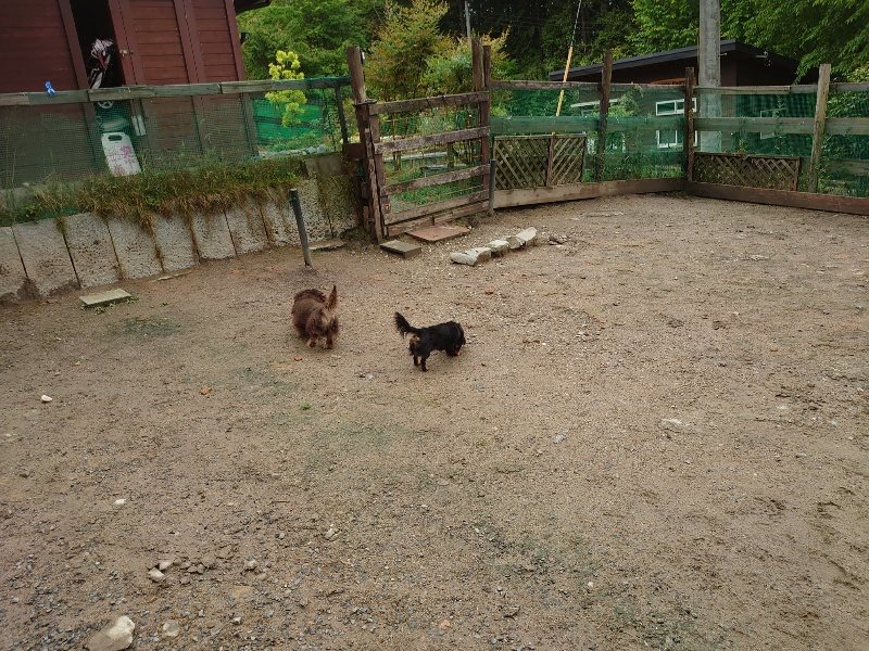 f：id：roukenhome-ann：20200518210120j：plain