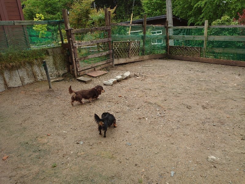 f：id：roukenhome-ann：20200518210131j：plain