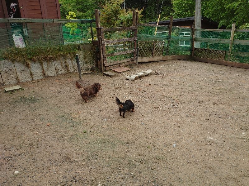 f：id：roukenhome-ann：20200518210137j：plain
