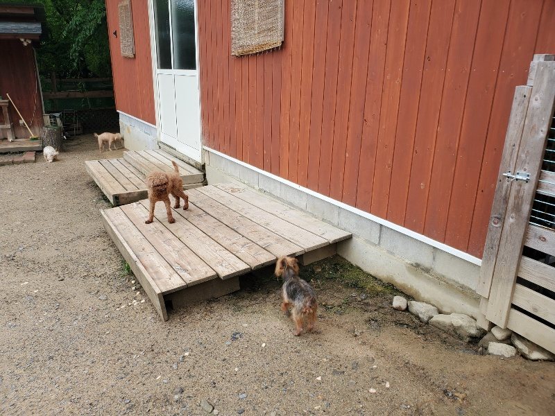 f：id：roukenhome-ann：20200518210744j：plain