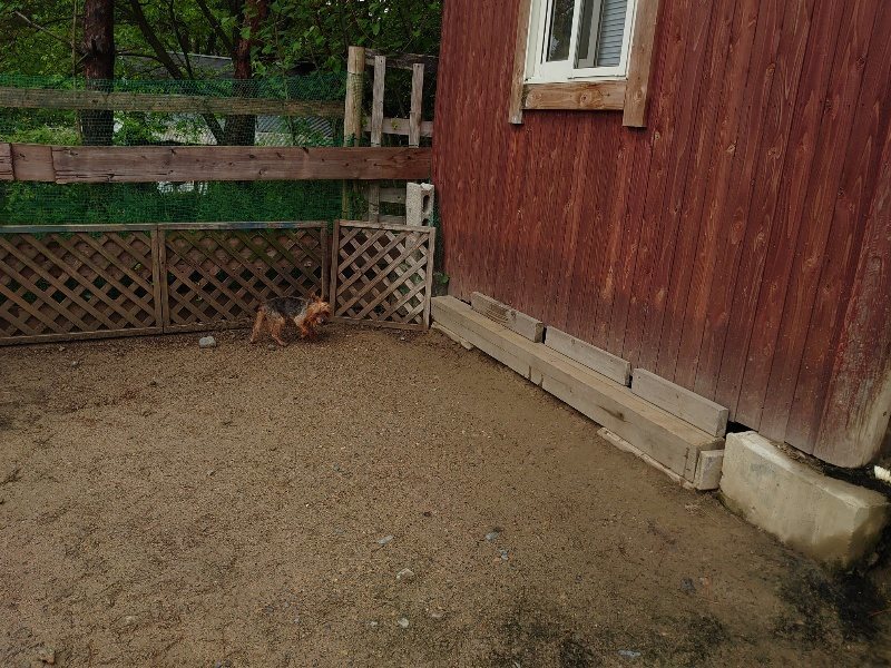 f：id：roukenhome-ann：20200518210752j：plain