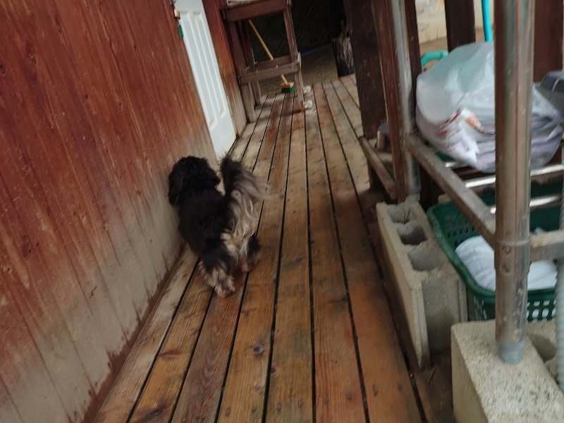 f：id：roukenhome-ann：20200518210948j：plain