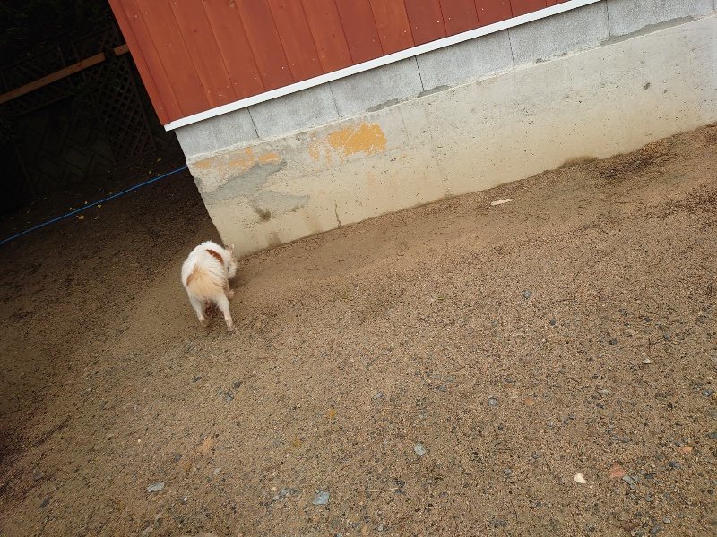 f：id：roukenhome-ann：20200518211222j：plain