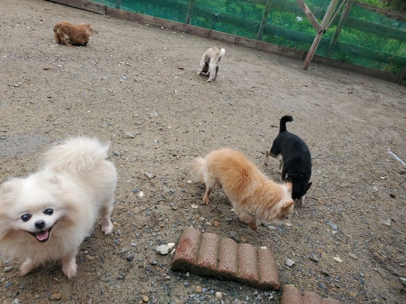 f：id：roukenhome-ann：20200518211331j：plain