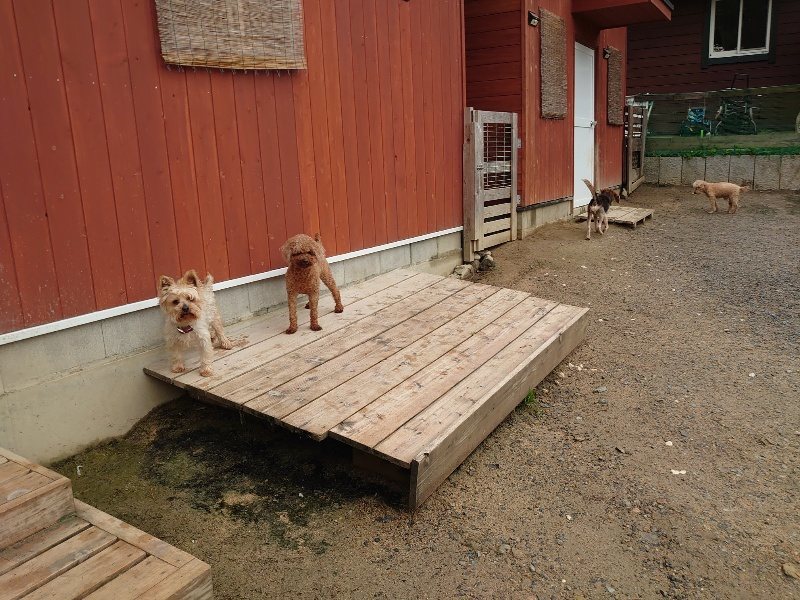 f：id：roukenhome-ann：20200518211347j：plain