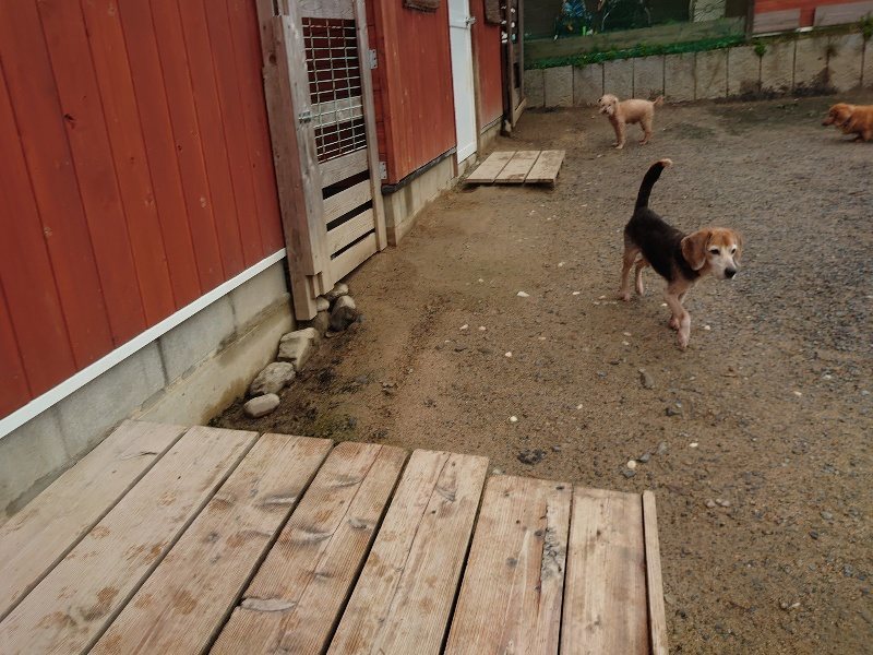 f：id：roukenhome-ann：20200518211453j：plain