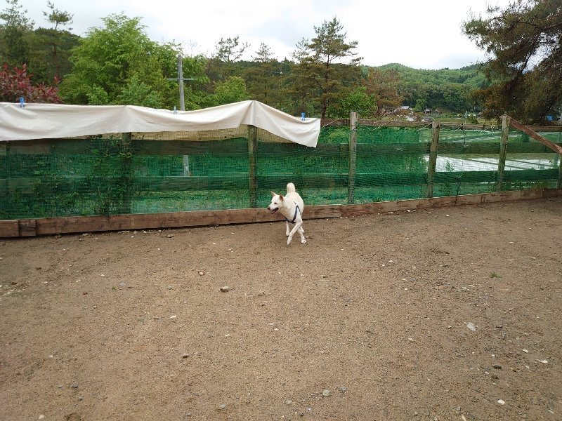 f：id：roukenhome-ann：20200519065519j：plain