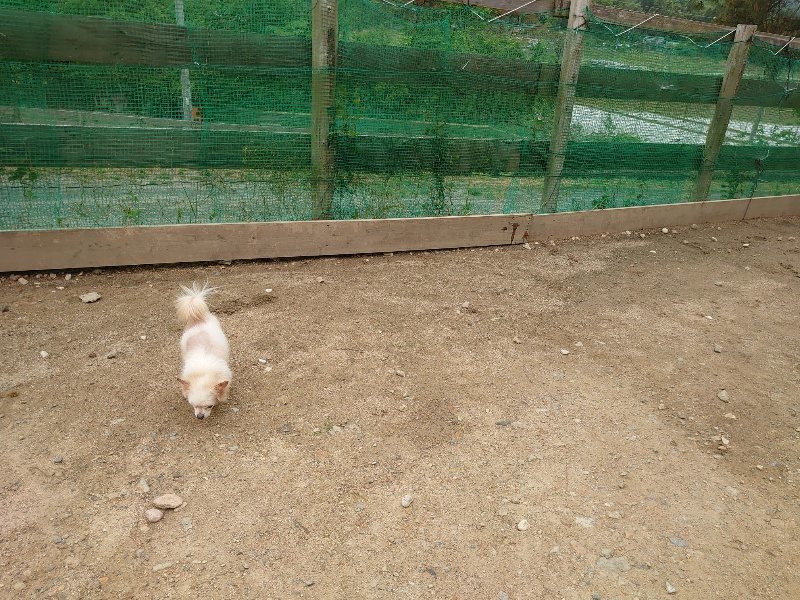 f:id:roukenhome-ann:20200519142316j:plain f:id:roukenhome-ann:20200519142316j:plain