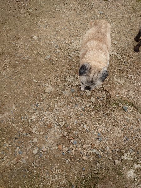 f:id:roukenhome-ann:20200519142543j:plain f:id:roukenhome-ann:20200519142543j:plain