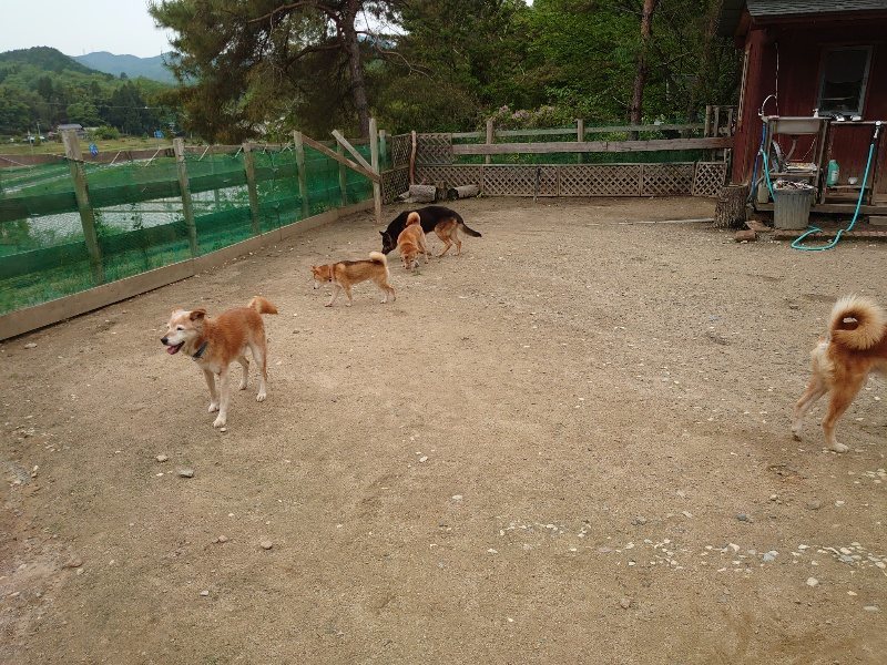 f:id:roukenhome-ann:20200519144344j:plain f:id:roukenhome-ann:20200519144344j:plain