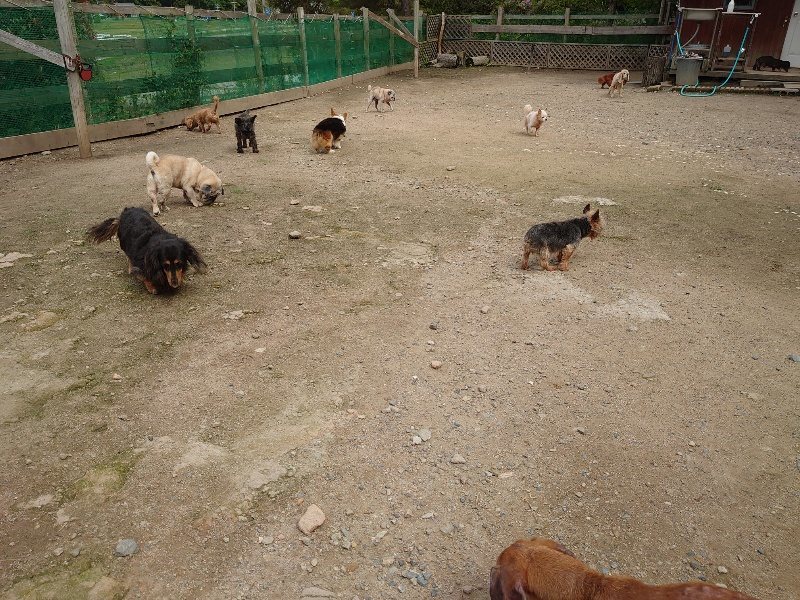 f：id：roukenhome-ann：20200521184757j：plain