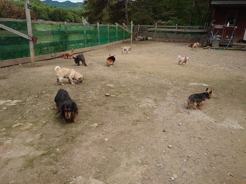 f：id：roukenhome-ann：20200521184807j：plain