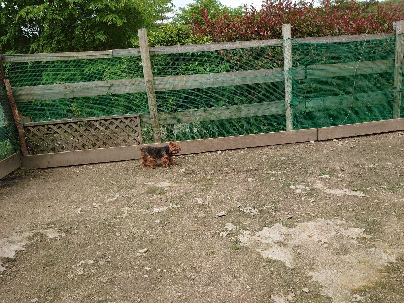 f：id：roukenhome-ann：20200521184845j：plain