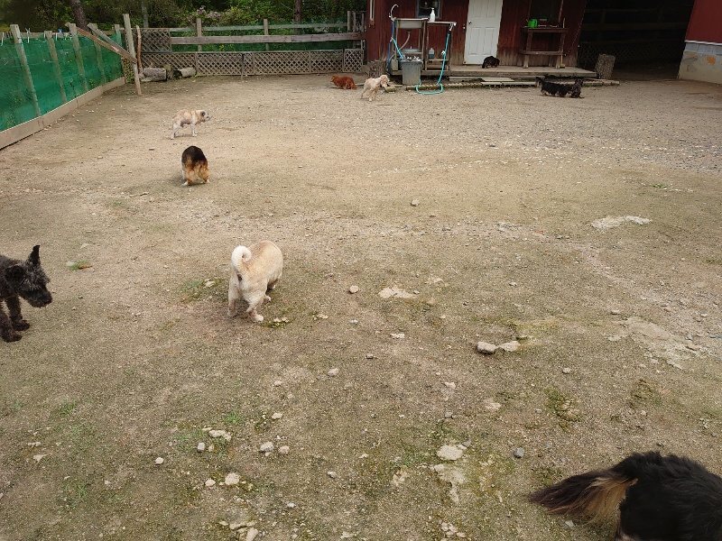 f：id：roukenhome-ann：20200521184856j：plain