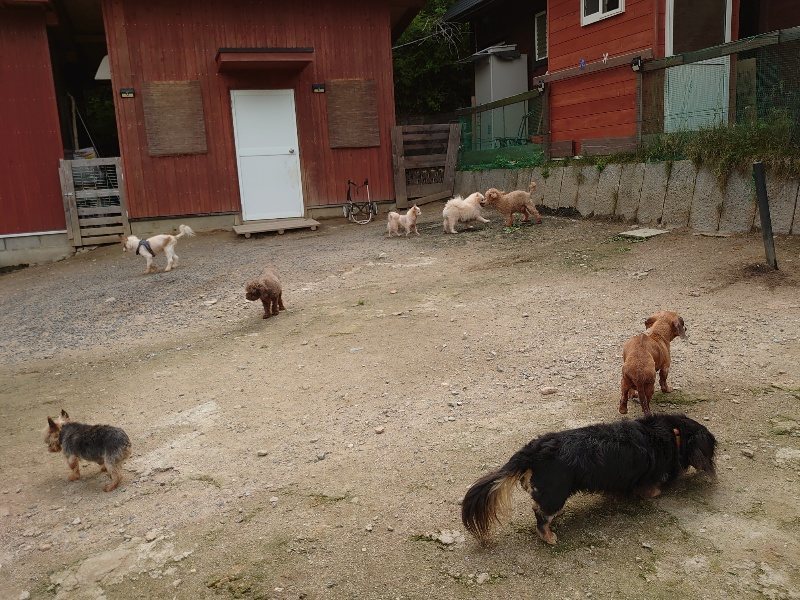 f：id：roukenhome-ann：20200521184929j：plain