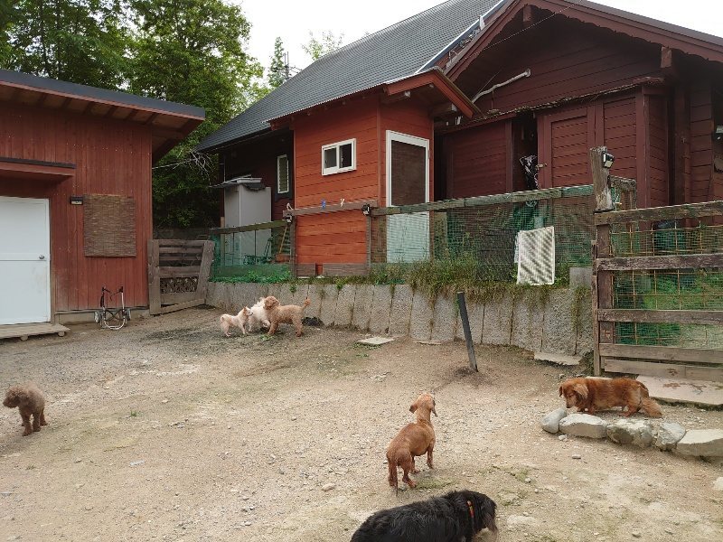f：id：roukenhome-ann：20200521184935j：plain