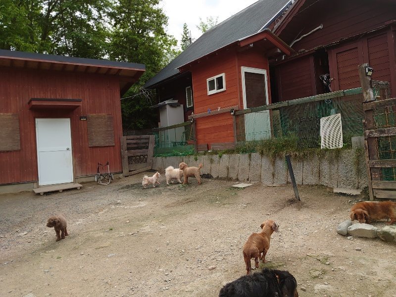 f：id：roukenhome-ann：20200521184940j：plain