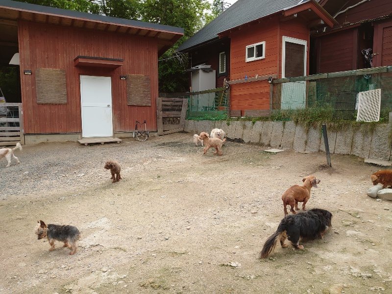 f：id：roukenhome-ann：20200521184946j：plain