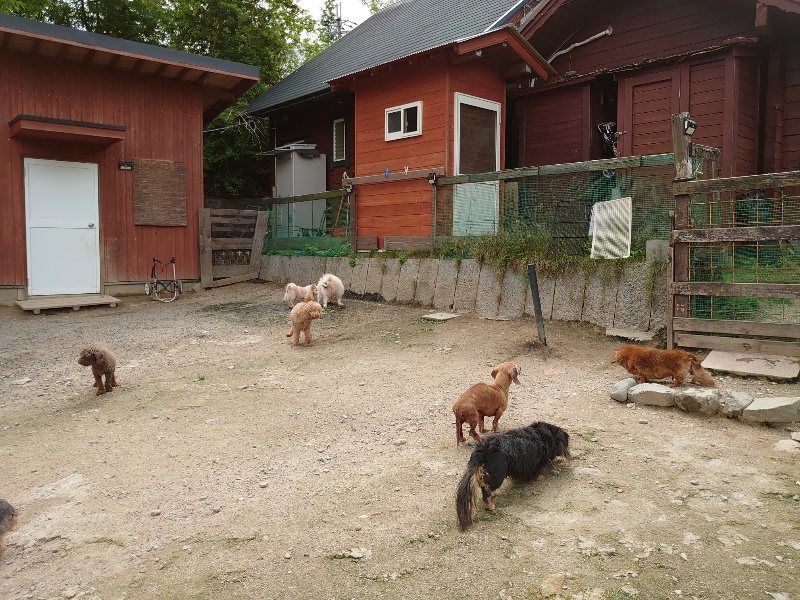 f：id：roukenhome-ann：20200521184951j：plain