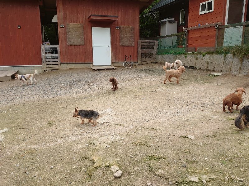 f：id：roukenhome-ann：20200521185003j：plain
