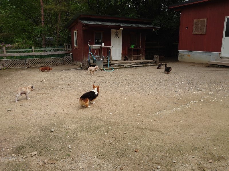 f：id：roukenhome-ann：20200521185008j：plain