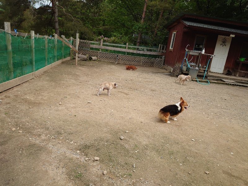 f：id：roukenhome-ann：20200521185018j：plain