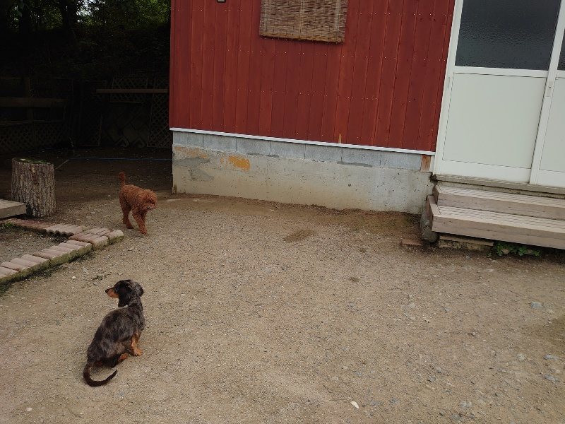 f：id：roukenhome-ann：20200521185249j：plain