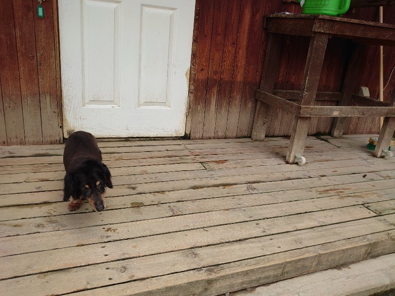 f：id：roukenhome-ann：20200521185334j：plain