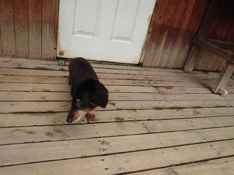 f：id：roukenhome-ann：20200521185340j：plain