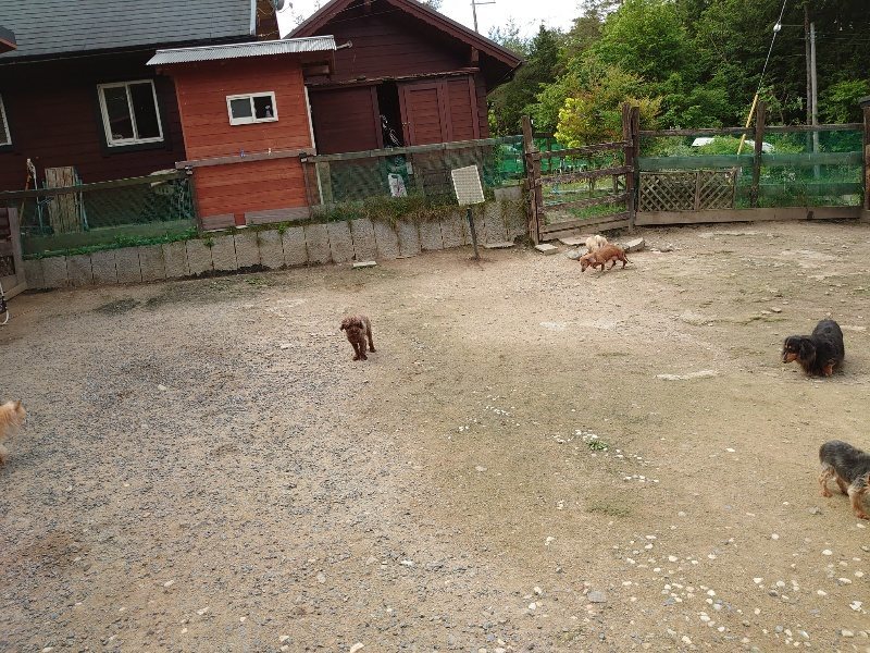 f：id：roukenhome-ann：20200521185619j：plain